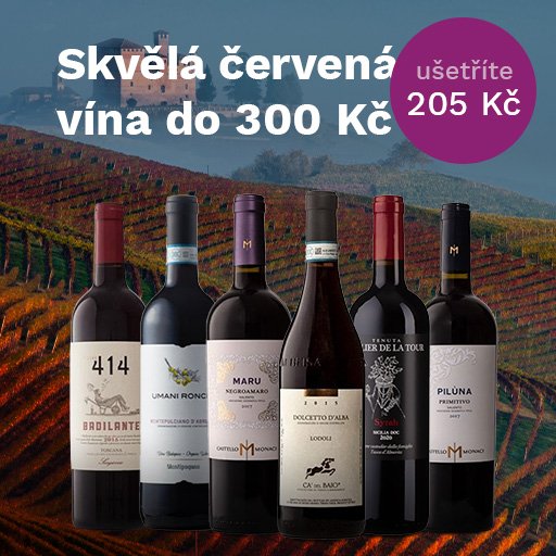Skvělá červená vína do 300 Kč