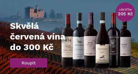 Skvělá červená vína do 300 Kč