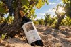 Carignano del Sulcis "Is Solus" DOC 2025, Sardus Pater, 0,75l