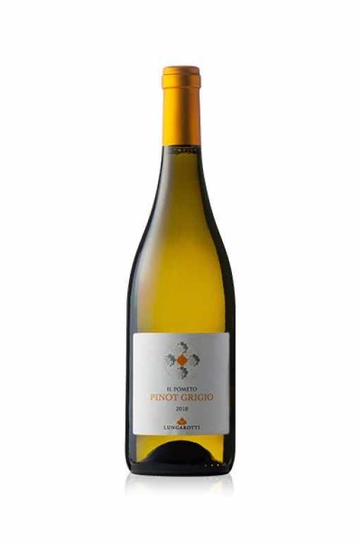 Pinot Grigio Umbria IGT 2022