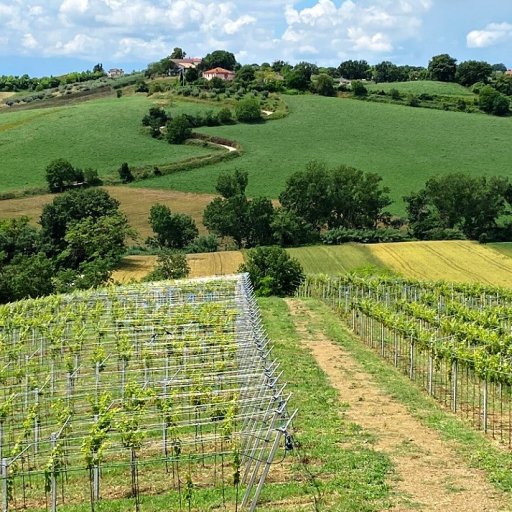 Degustace: Marche a Abruzzo 18. 3.