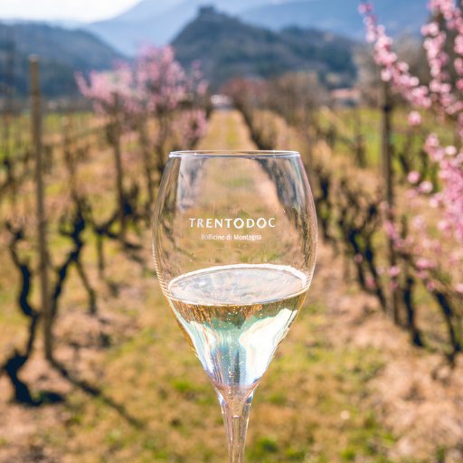 Degustace: Trentino a Jižní Tyrolsko 17.6.