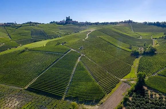 Vinice Massolino v Barolu