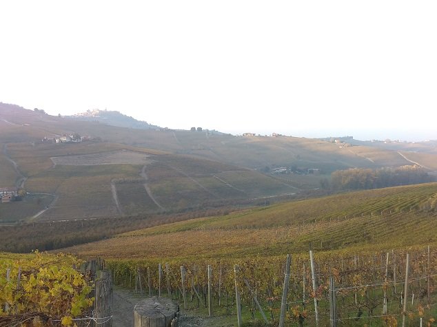 Nejslavnější vinice Itálie