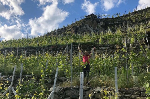 Vína z Valtelliny: zajímavá alternativa ke slavnému Barolu