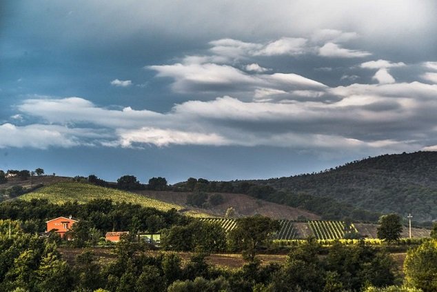 Objevte toskánské Morellino di Scansano DOCG