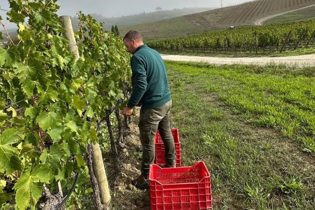 Brunello di Montalcino a ročník 2020 – svěžest a velké rozdíly v kvalitě