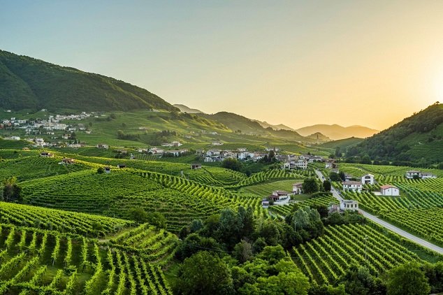 Dechberoucí vinice zapsané na seznamu UNESCO