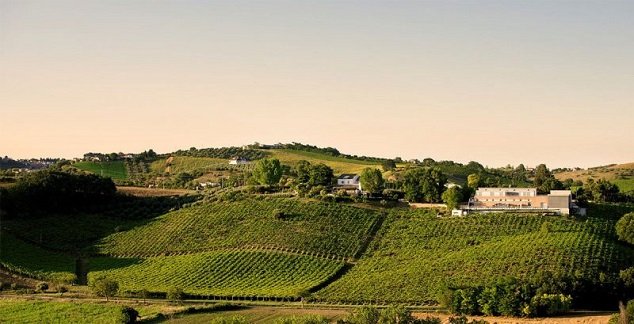 Není Trebbiano jako Trebbiano