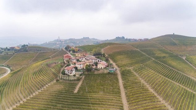 Barbaresco – elegantní červené víno z italského Piemontu
