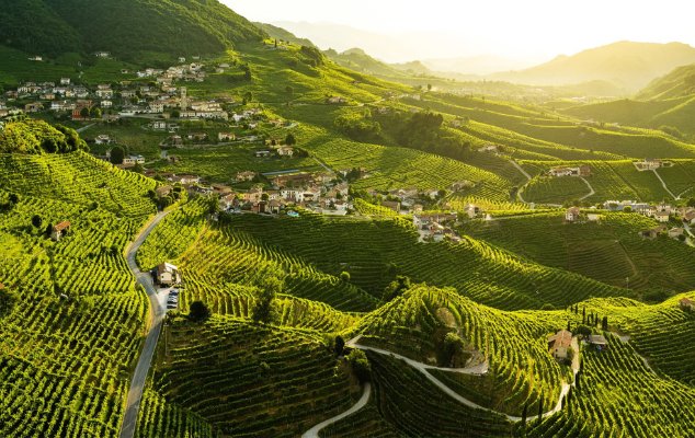 Prosecco DOC nebo DOCG: Jak poznat skutečnou kvalitu?