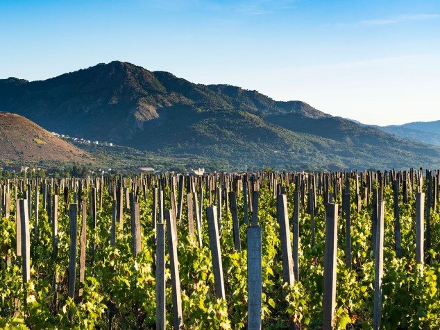 Etna - vinařství Cottanera